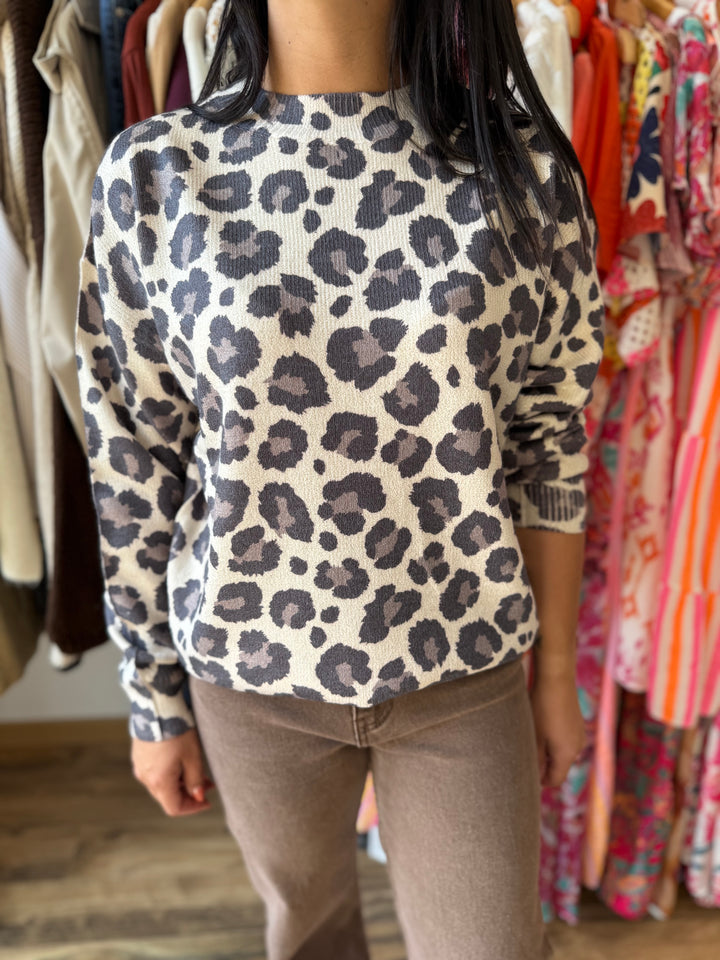 Jean coupe droite chocolat 🍫