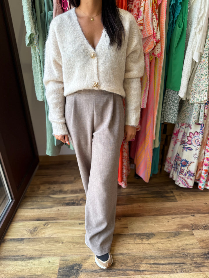 Pantalon Edy taupe